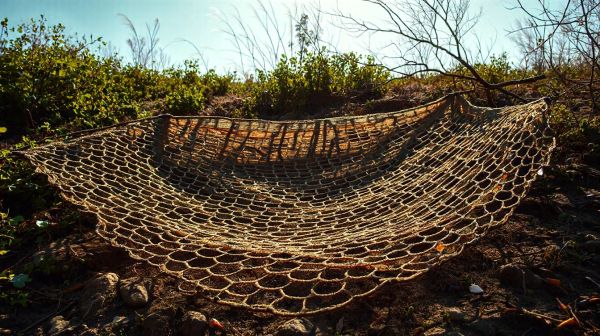 Top camo netting options for any outdoor escapade